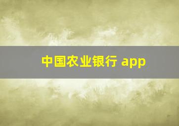 中国农业银行 app